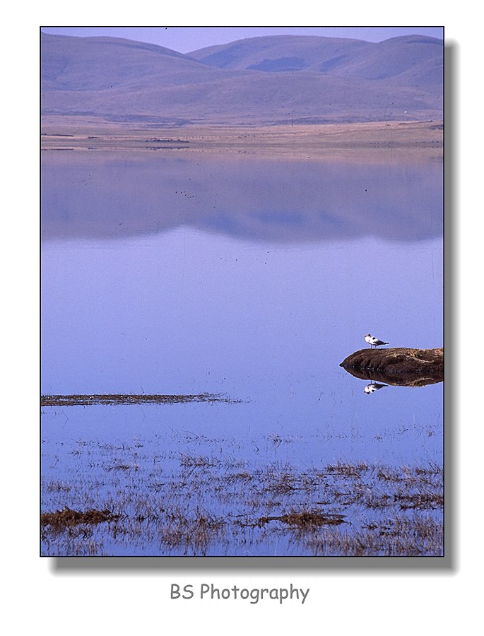 Ga Hai Wet Land, Bird Protection Area, Gansu Province.jpg